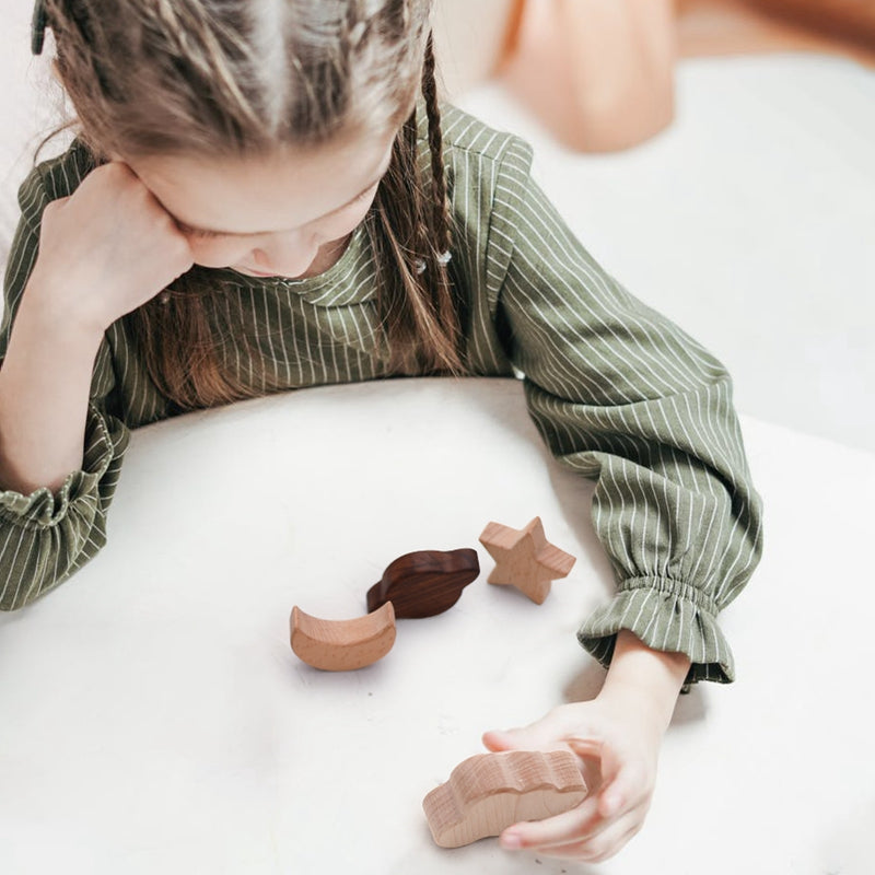 Wooden Balance Toy Blocks