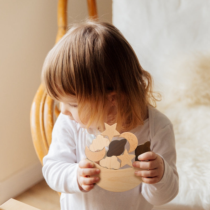 Wooden Balance Toy Blocks