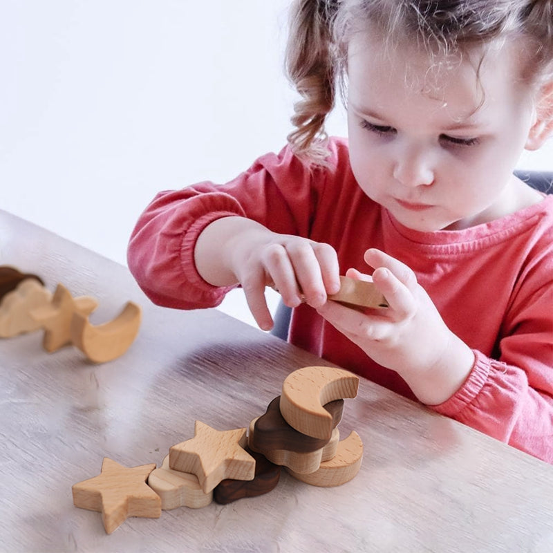 Wooden Balance Toy Blocks